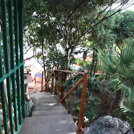 Casa Elvira Villa Terrasini Eksteriør billede