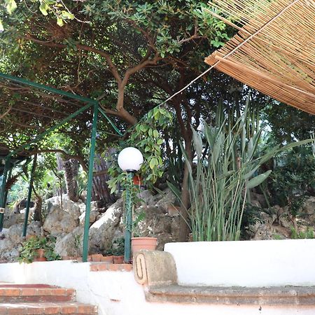 Casa Elvira Villa Terrasini Eksteriør billede