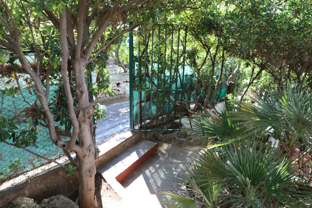 Casa Elvira Villa Terrasini Eksteriør billede