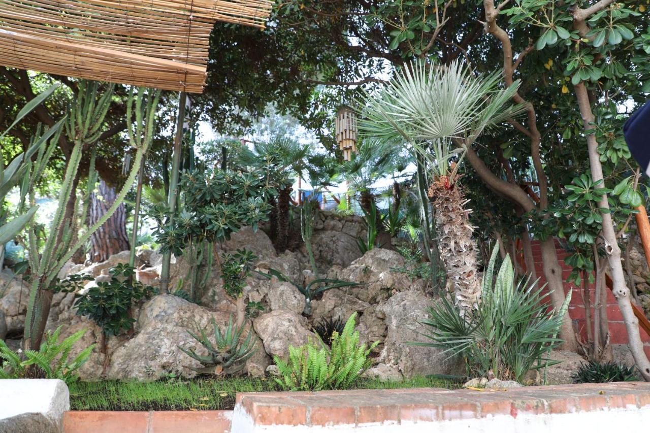 Casa Elvira Villa Terrasini Eksteriør billede